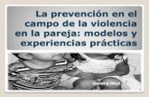 La prevención en el campo de la violencia en la pareja: modelos y experiencias prácticas. COPC 2011