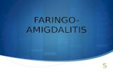 Faringo amigdalitis