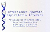 Actualización Enero 2011 Maria José Monedero Mira Grupo semFYC y SVMFiC de Enfermedades Infecciosas