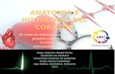 Anatomía e histología del corazón