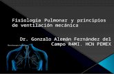 Fisiologia pulmonar gunz[2]