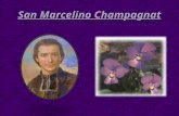 San marcelino champagnat (clara luque)