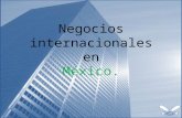 Negocios internacionales en México - Kari Hernández Moreno.
