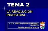 Tema 2   la revolución industrial