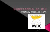 Experiencia en wix