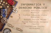 Informatica y Derecho Publico