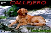 Callejero (Canta Alberto Cortez)