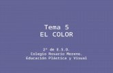 Tema 5 El Color