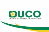 Investigacion en la licenciatura en lenguas extranjeras   uco