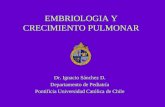 Embriologia y crecimiento pulmonar  SIDEM