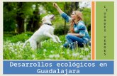 Desarrollos ecológicos en Guadalajara