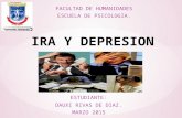 Ira y depresion