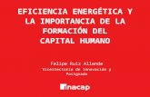 PPT Felipe Ruiz - "Eficiencia Energética y la importancia de la formación del capital humano"