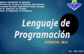 Lenguaje de programación 20133