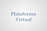 Informe plataforma virtual