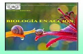 Boletín informativo  N° 1 - Biología en acción