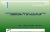Superintendencia delgada para_la_funcion_juridiccional_y_de[2]