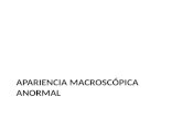 Apariencia macroscópica anormal de placenta