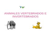 200806280251000.animales vertebrados e invertebrados