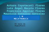 Arturo coyotecatl flores