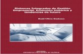 Sistemas integrados de gestión empresarial 6056
