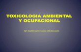 Toxicologia Ocupacional y Ambiental