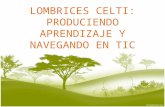 Lombrices Celti Presentacion Proyecto Ii