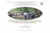 Propuesta de proyecto ambiental las palmeras  arlenis valdez