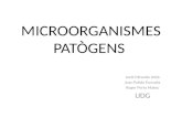 Microorganismes patògens.