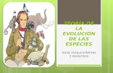 Ideas evolucionista kathyta11