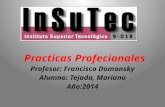 Power point practicas profesionales