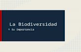 Importancia Biodiversidad Jaime