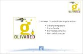 Presentacion olivared 29 dic 2011