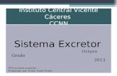 Sistema excretor/icvc