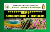 Reino  arqueobacteria y eubacteria