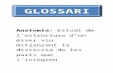 Glosssari - Medicine Actuality - ©
