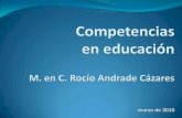 Competencias en educación