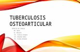 Tuberculosis Osea