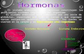 Hormonas (1)