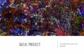 Basic project