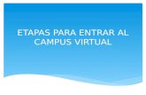 Etapas para entrar al campus virtual Ute