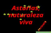 Asturias naturaleza viva   0001