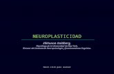 Neuroplasticidad (g) (1)
