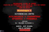 Diferencias entre Aislamiento y Cuarentena - Epidemia y Pandemia