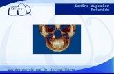 Canino retenido, casos radiográficos, Dento Metric, Dr. Enrique Sierra Rosales, Radiología oral y maxilofacial