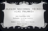 Colegio nacional técnico «las palmas».pptxcursona