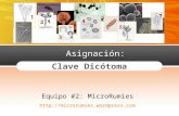 Clave Dicotoma