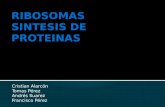 Ribosomas y Sintesis de Proteinas