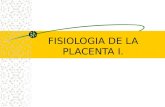 Fisiologia de-la-placenta-i