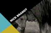 (2)Fotógrafos: Nick Brandt &Trey Ratcliff